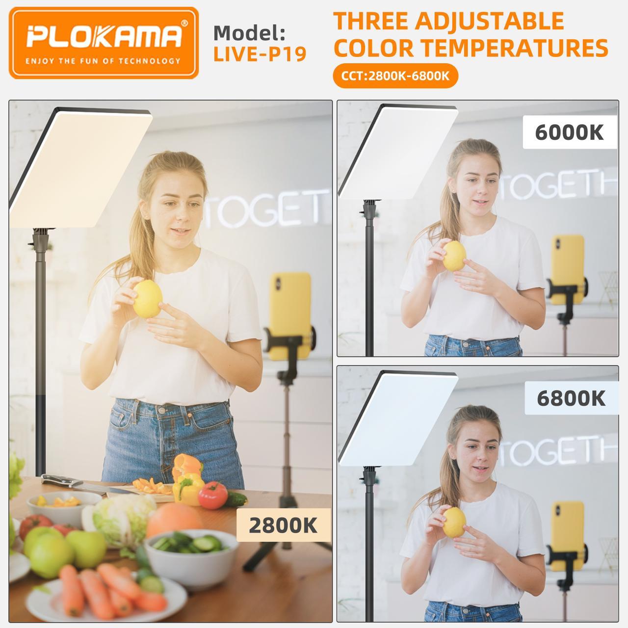 PLOKAMA Live P-19 LED Fill Light with 7ft Stand