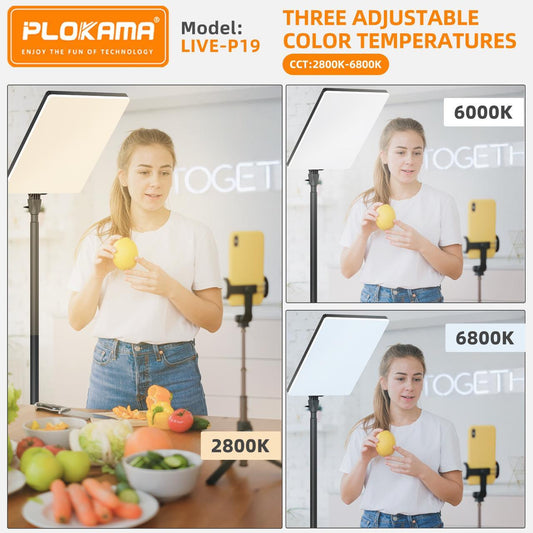 PLOKAMA Live P-19 LED Fill Light with 7ft Stand